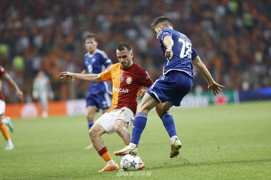 这一系列举 这一系列举